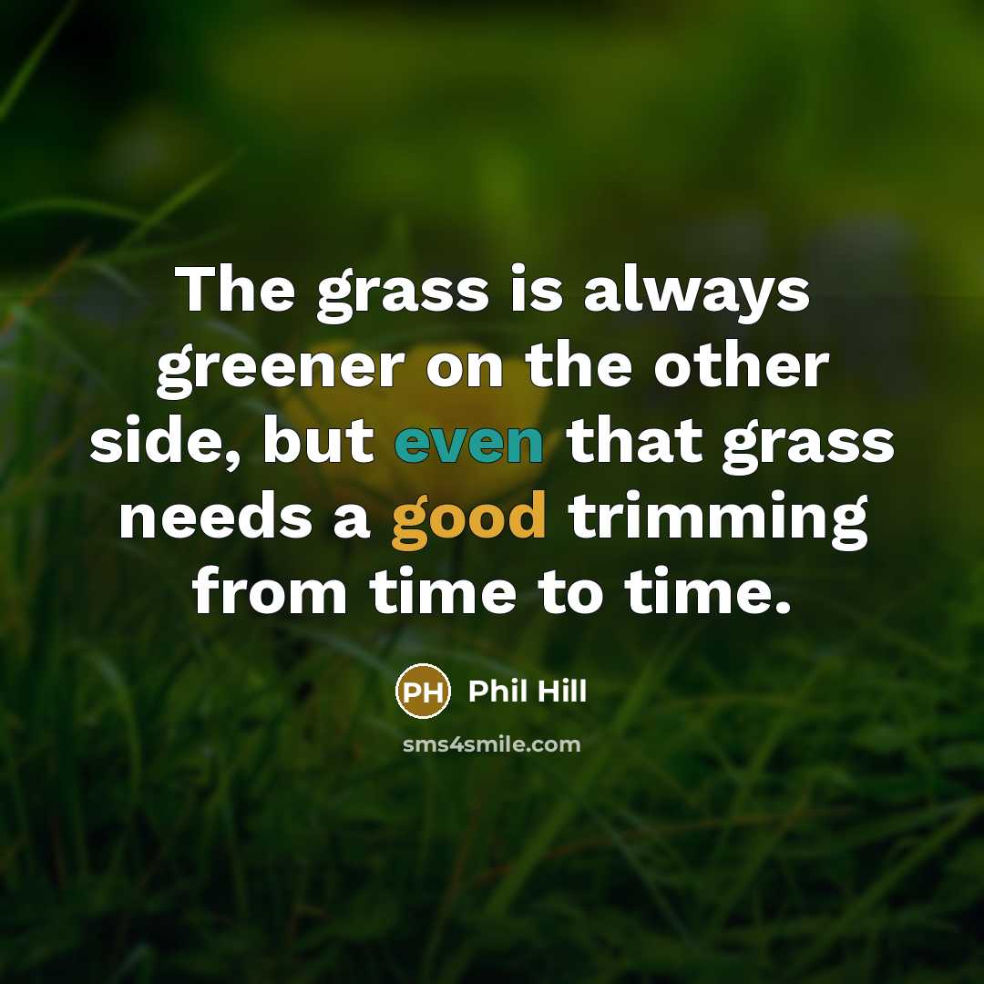 “The grass is always greener on the other side, but even that grass needs a good trimming from time to time.” quote by Phil Hill