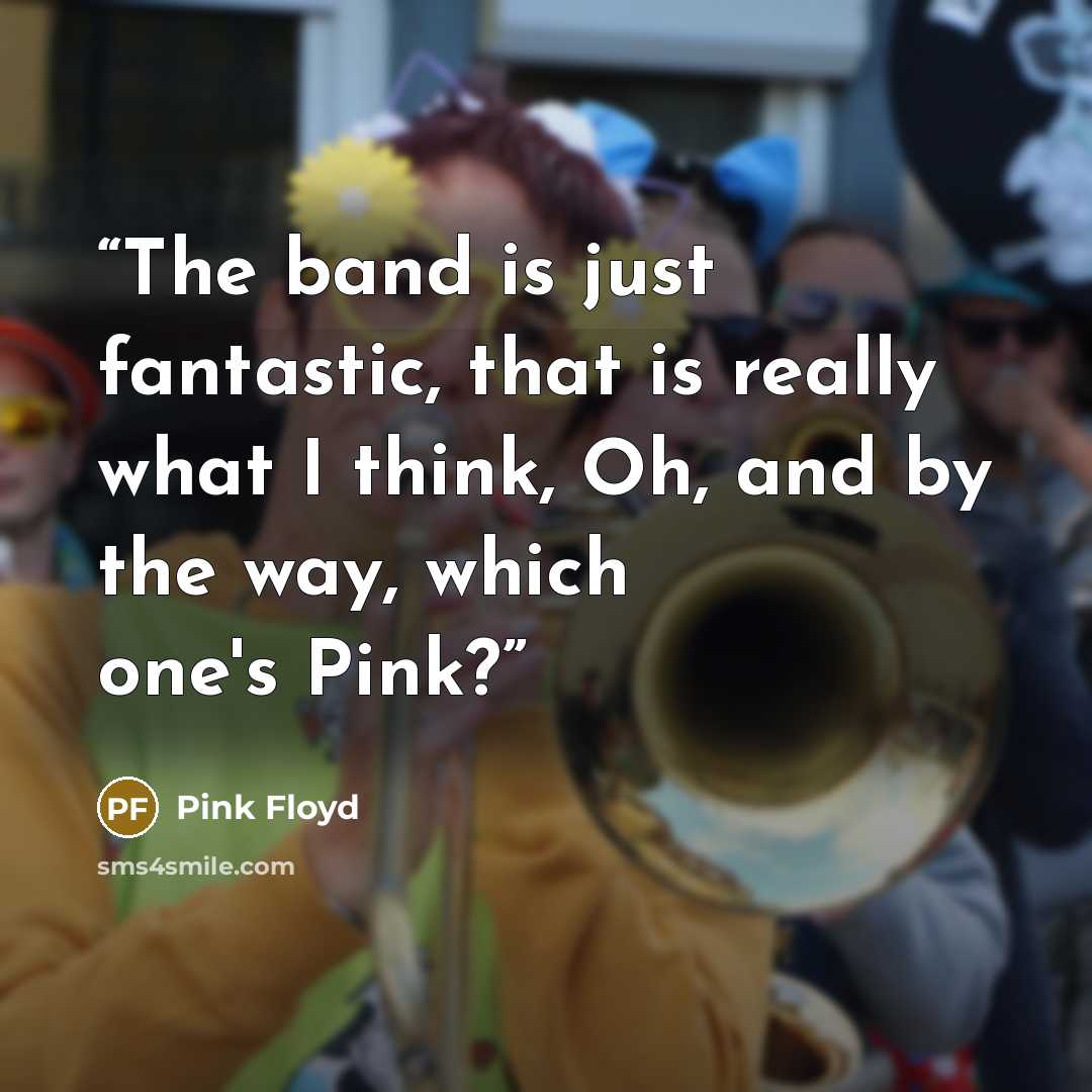 “The band is just fantastic, that is really what I think, Oh, and by the way, which one's Pink?” quote by Pink Floyd