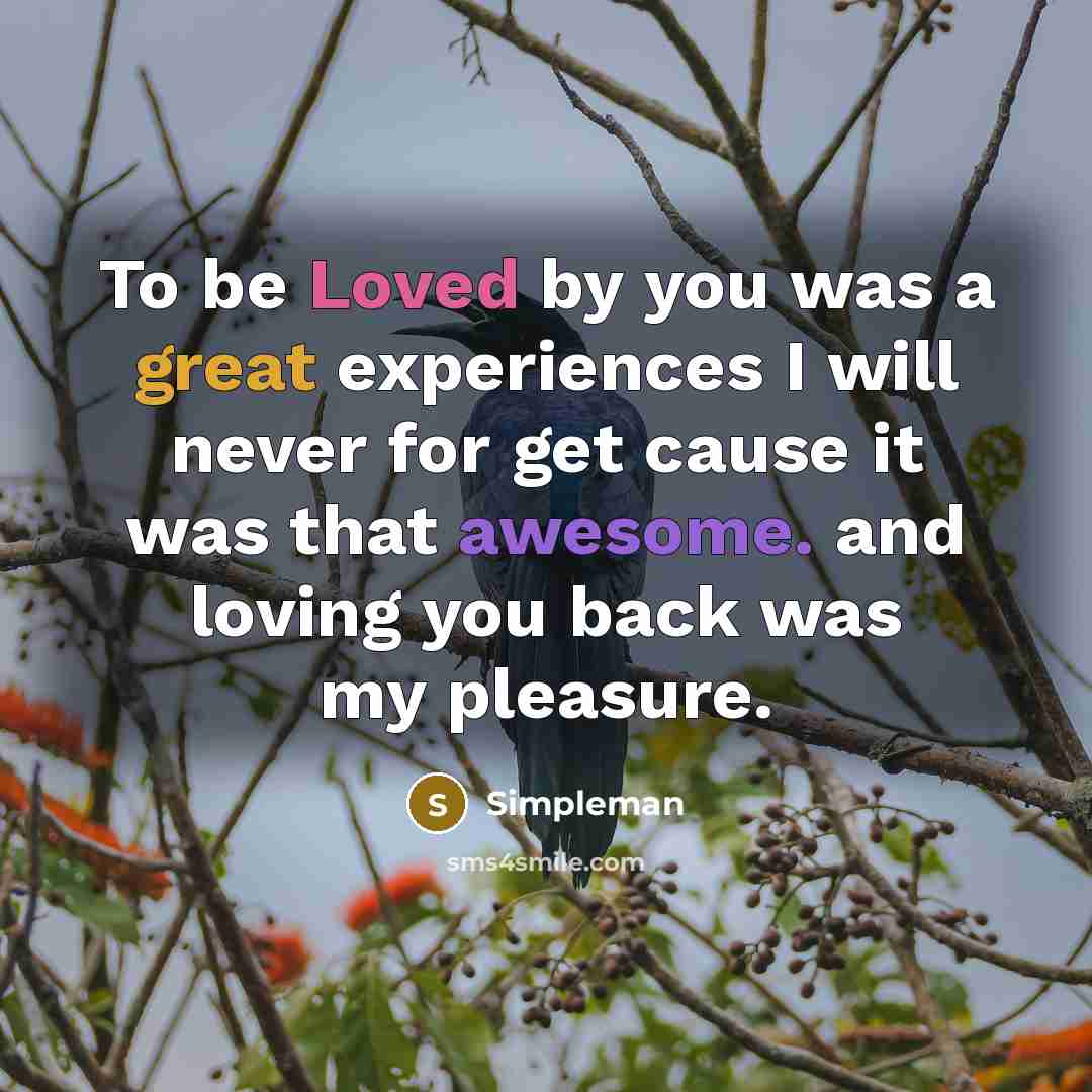“To be Loved by you was a great experiences I will never for get cause it was that awesome. and loving you back was my pleasure.” quote by Simpleman