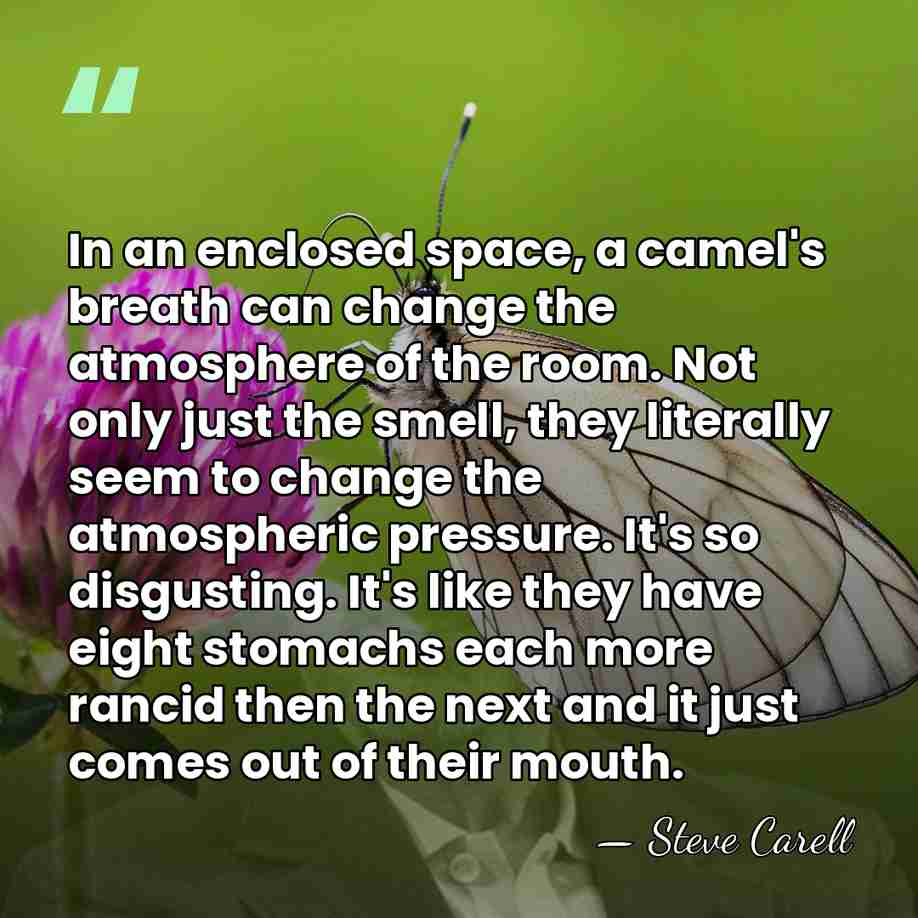 In an enclosed space, a camel's breath can change the atmosphere of&hellip; - Steve Carell