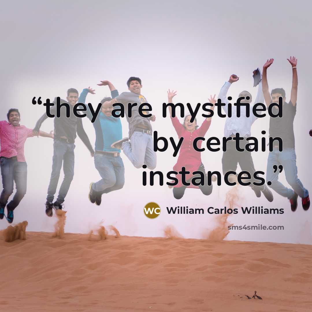 “they are mystified by certain instances.” quote by William Carlos Williams