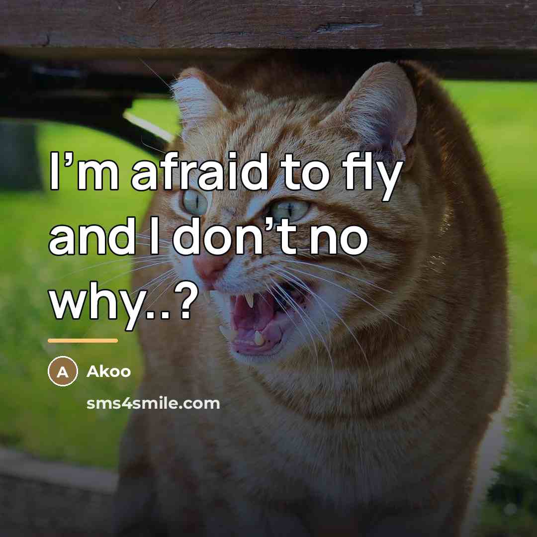 “I'm afraid to fly and I don't no why..?…” quote by Akoo