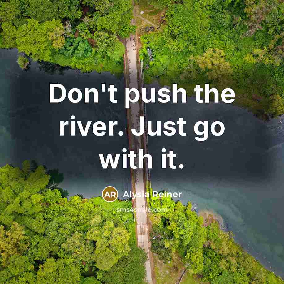 “Don't push the river. Just go with it.…” quote by Alysia Reiner