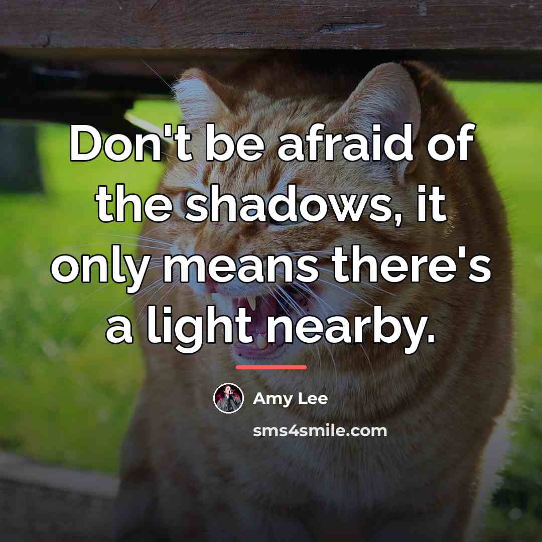 “Don't be afraid of the shadows, it only means there's…” quote by Amy Lee