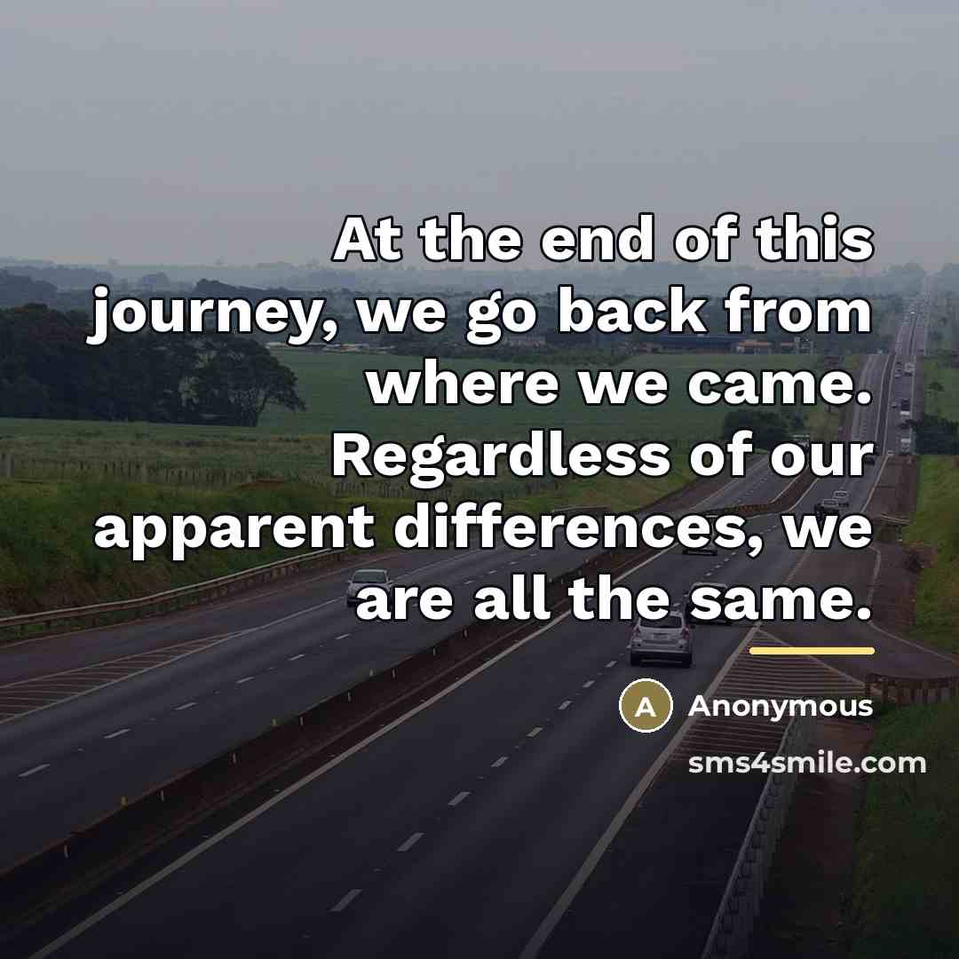 “At the end of this journey, we go back from…” quote by Anonymous