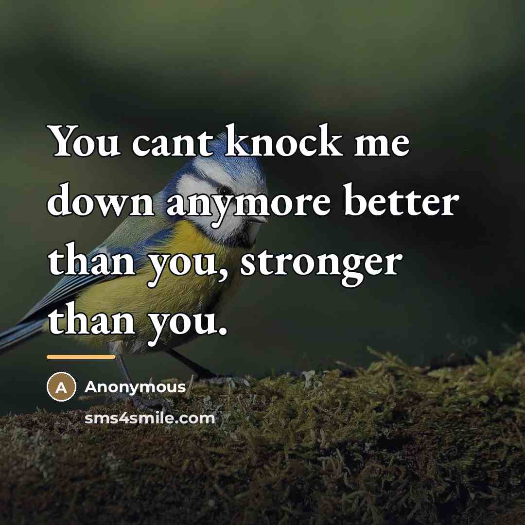 “You cant knock me down anymore better than you, stronger…” quote by Anonymous