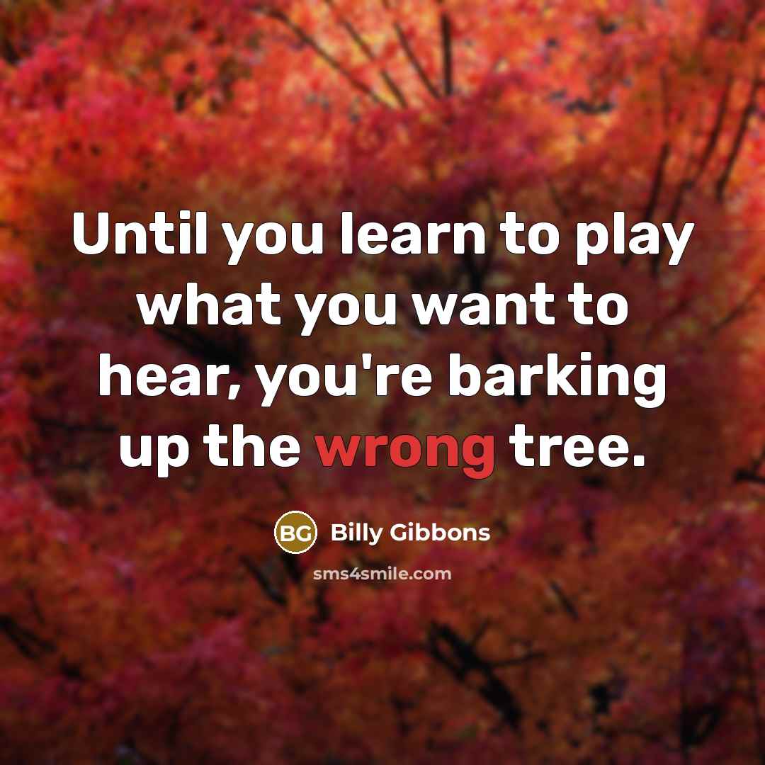 “Until you learn to play what you want to hear,…” quote by Billy Gibbons