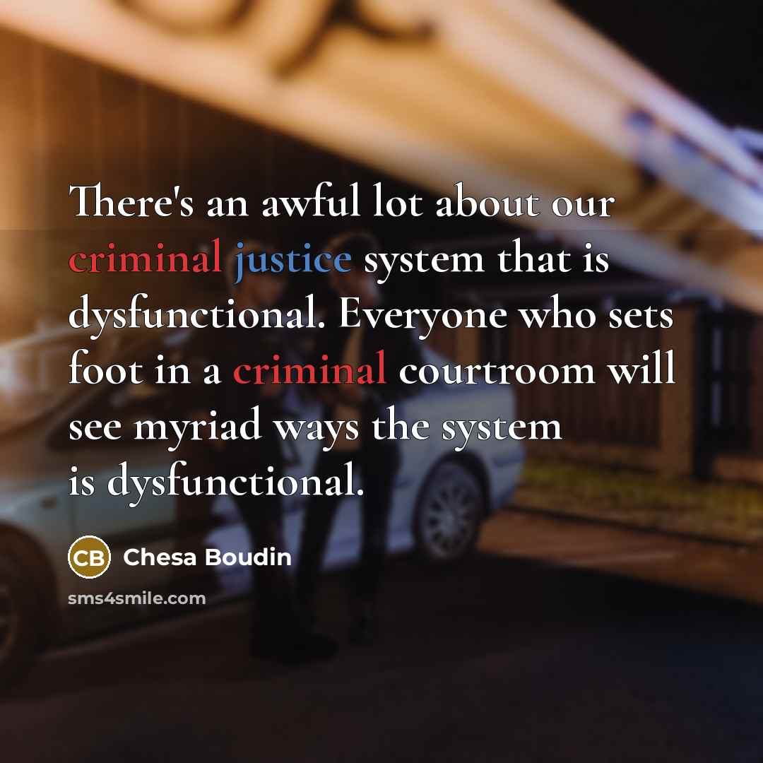 “There's an awful lot about our criminal justice system that…” quote by Chesa Boudin