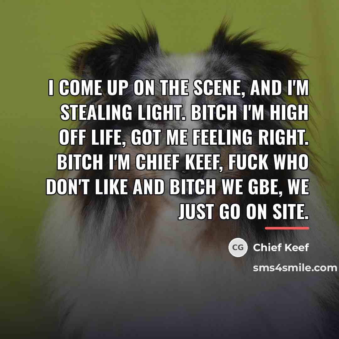 “I come up on the scene, and I'm stealing light.…” quote by Chief Keef