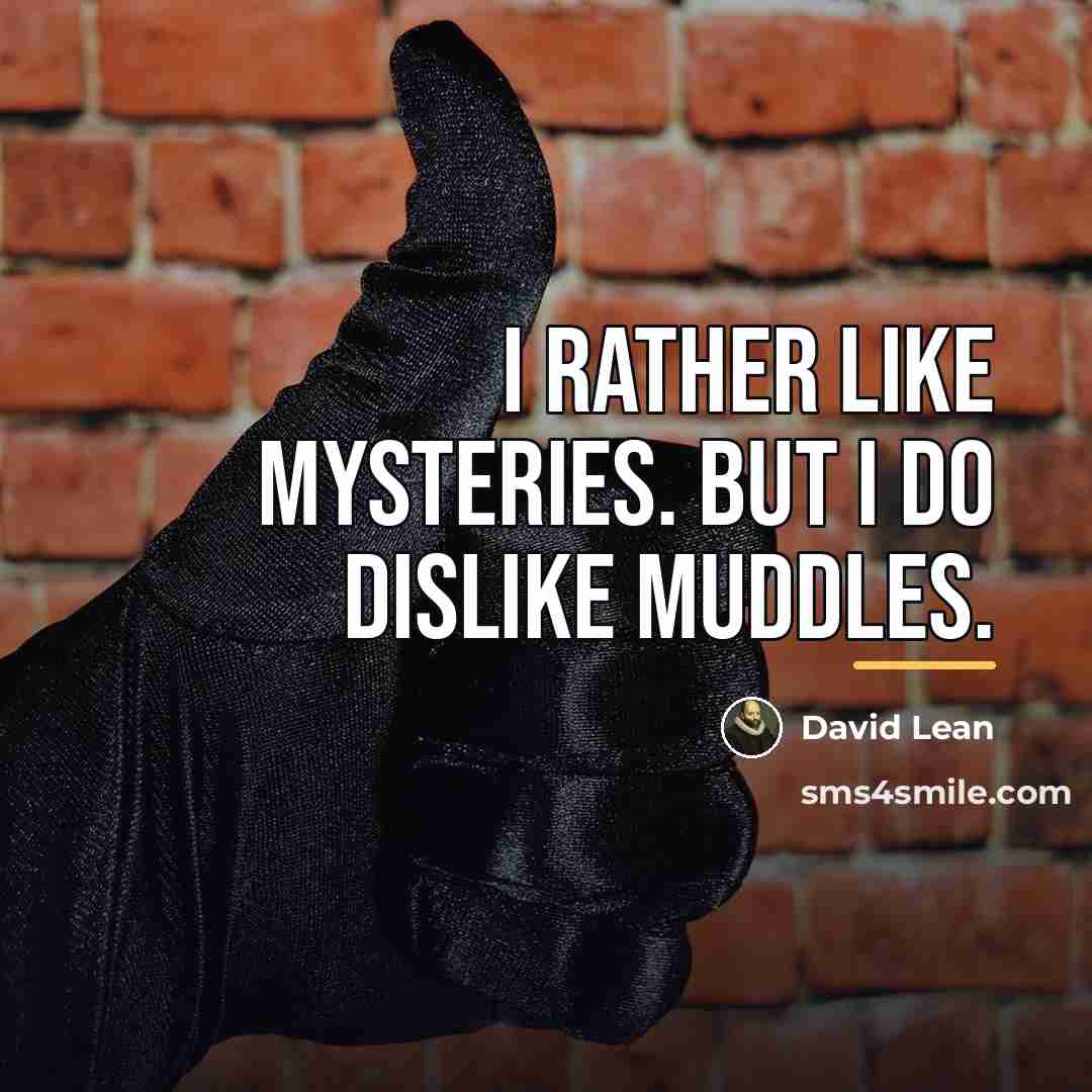 “I rather like mysteries. But I do dislike muddles.…” quote by David Lean