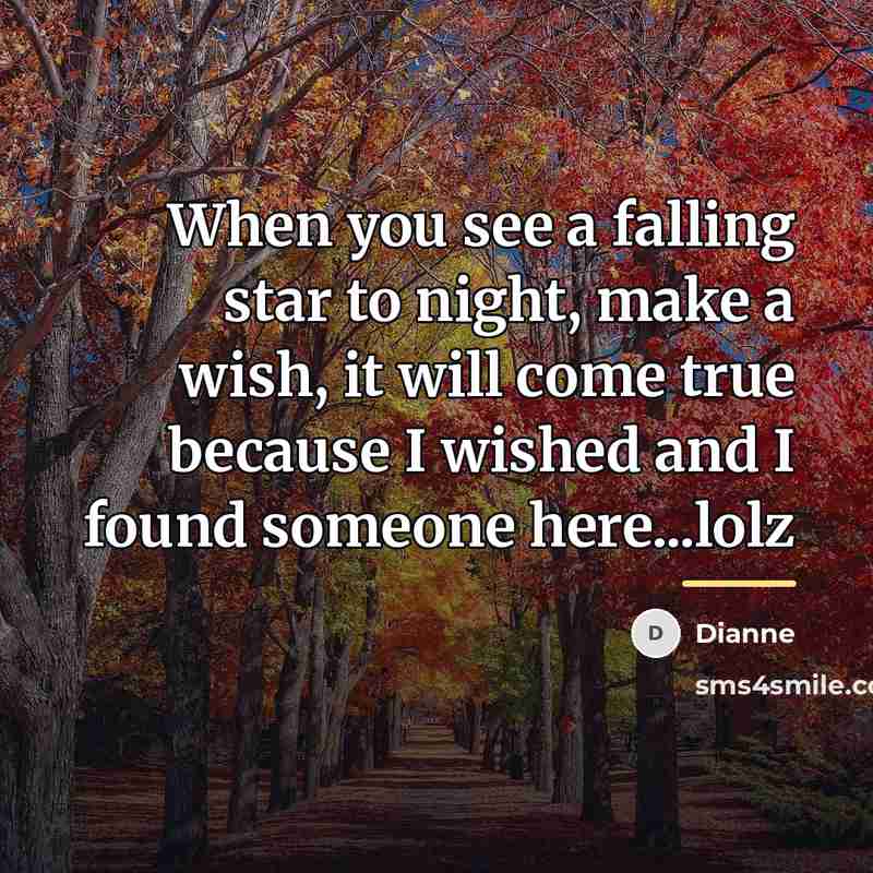 “When you see a falling star to night, make a…” quote by Dianne