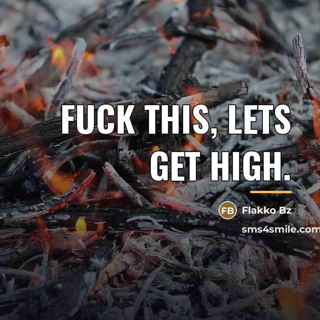 “Fuck this, lets get high.…” quote by Flakko Bz