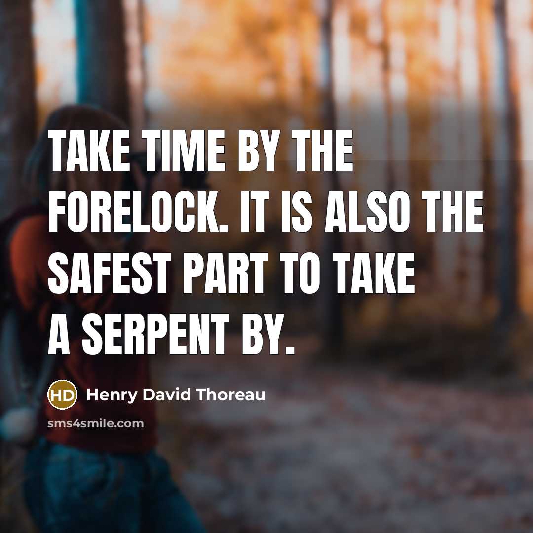 “Take Time by the forelock. It is also the safest…” quote by Henry David Thoreau