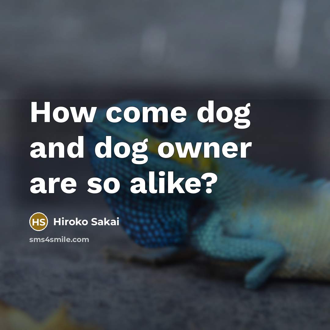 “How come dog and dog owner are so alike?” quote by Hiroko Sakai