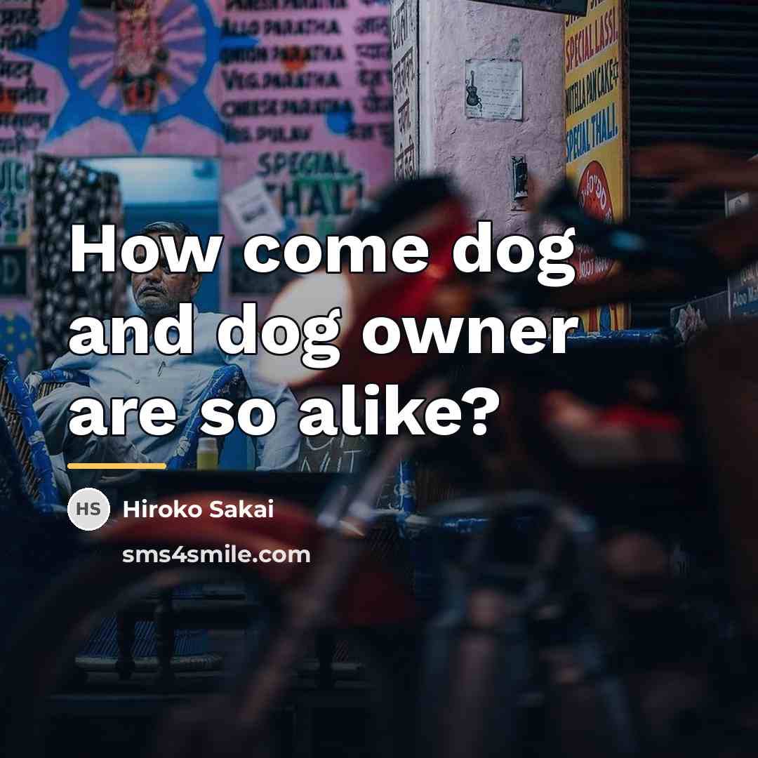 “How come dog and dog owner are so alike?…” quote by Hiroko Sakai