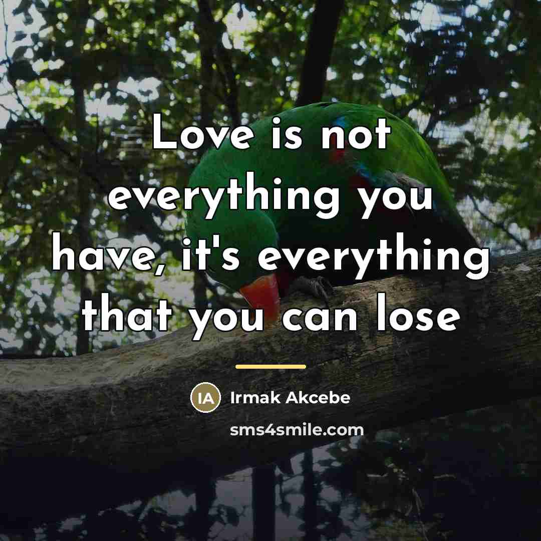 “Love is not everything you have, it's everything that you…” quote by Irmak Akcebe