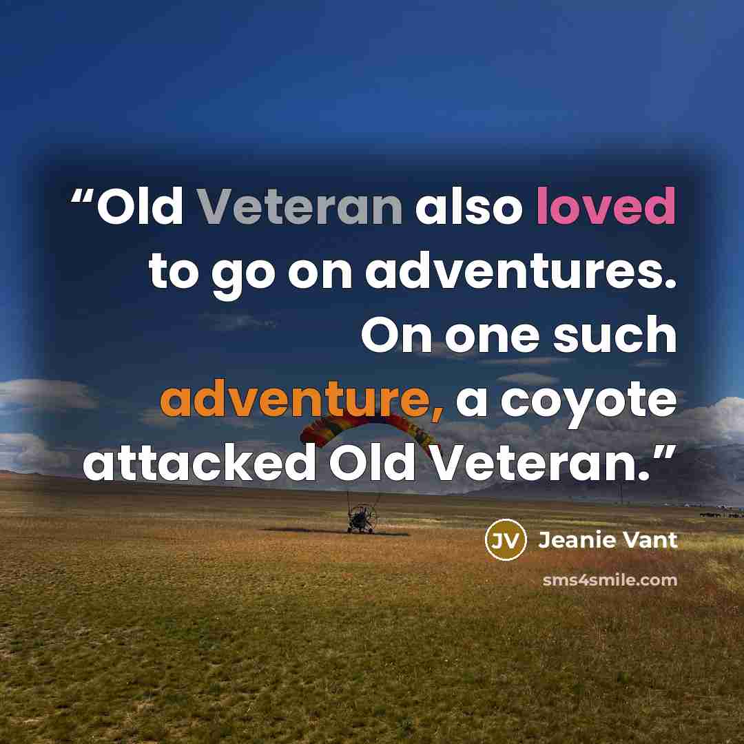 “Old Veteran also loved to go on adventures. On one such adventure, a coyote attacked Old Veteran.” quote by Jeanie Vant
