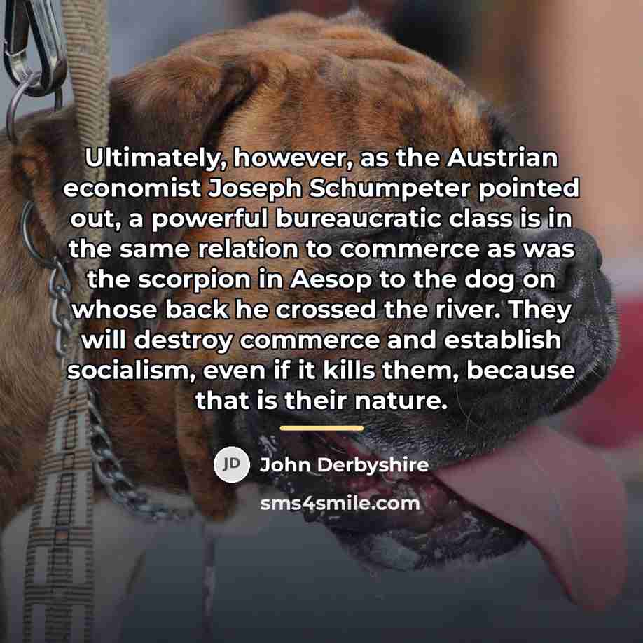“Ultimately, however, as the Austrian economist Joseph Schumpeter pointed out,…” quote by John Derbyshire