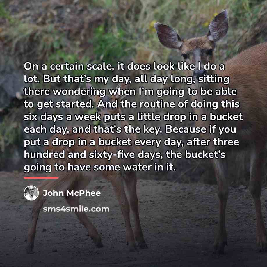 “On a certain scale, it does look like I do…” quote by John McPhee