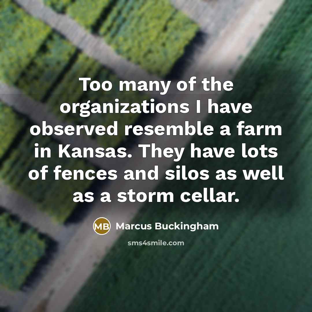 “Too many of the organizations I have observed resemble a…” quote by Marcus Buckingham