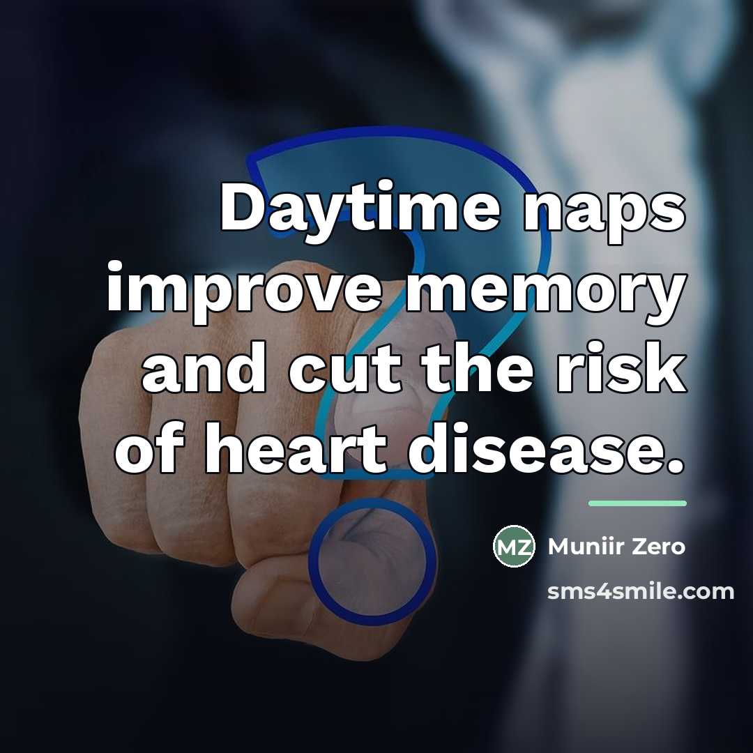 “Daytime naps improve memory and cut the risk of heart…” quote by Muniir Zero