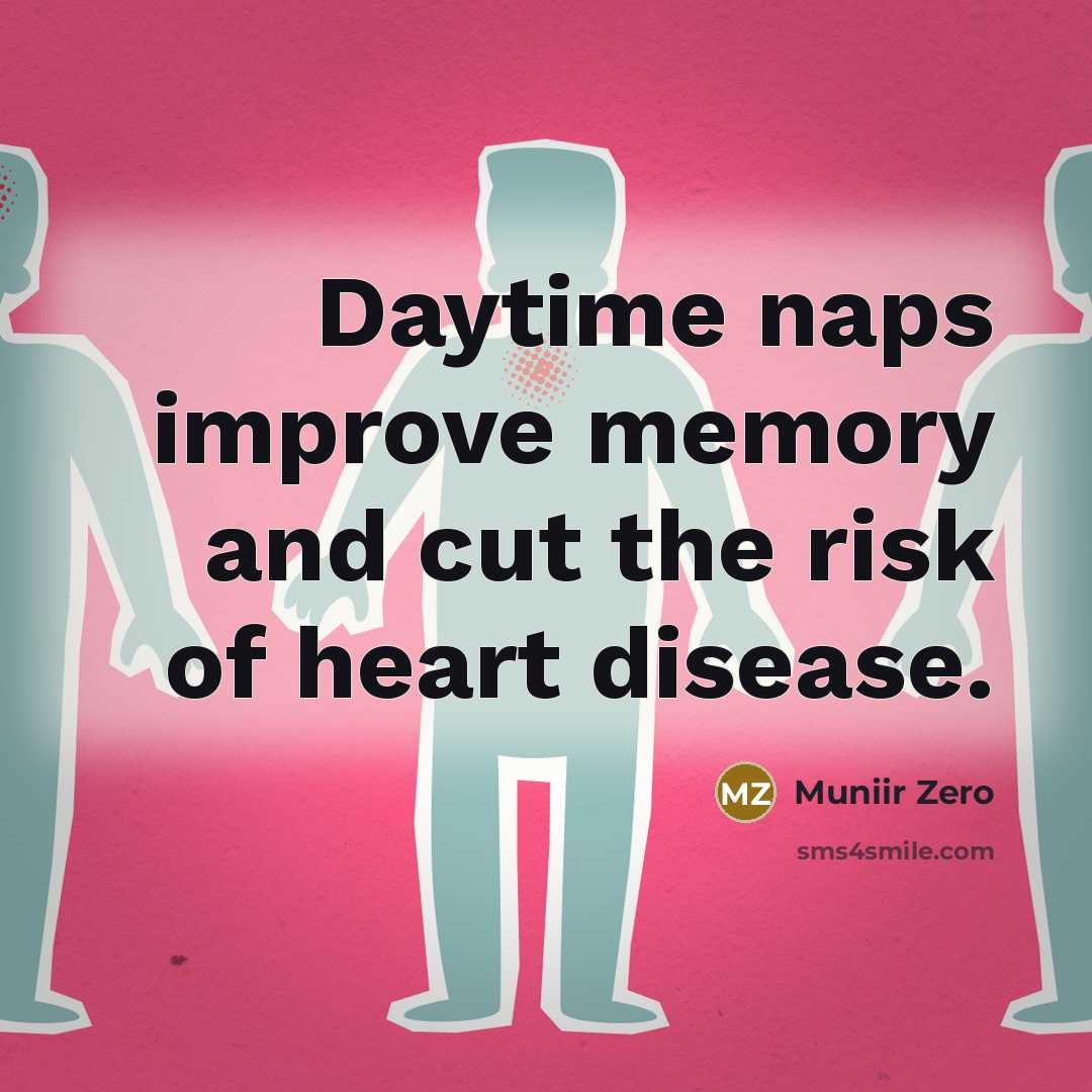 “Daytime naps improve memory and cut the risk of heart disease.” quote by Muniir Zero