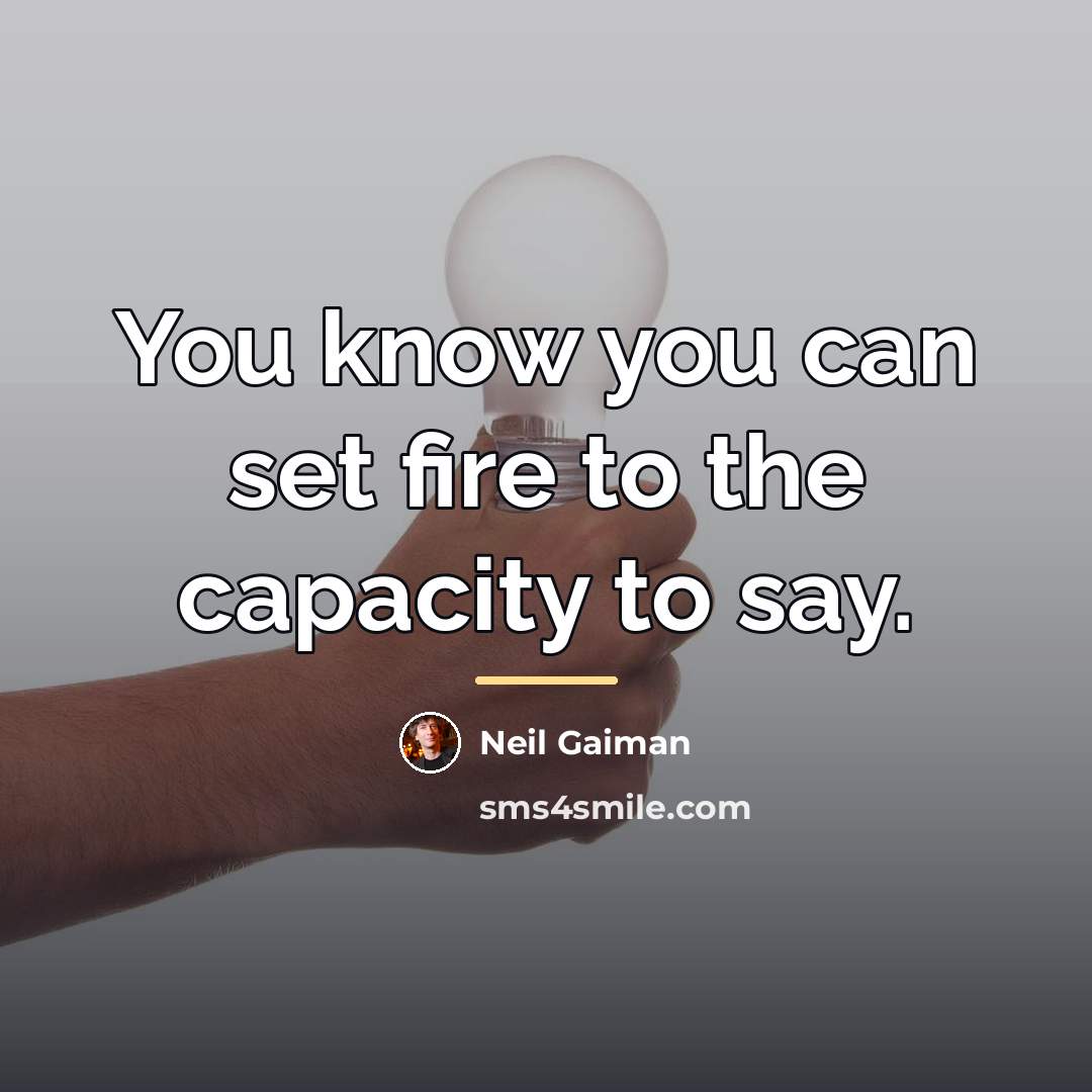 “You know you can set fire to the capacity to…” quote by Neil Gaiman