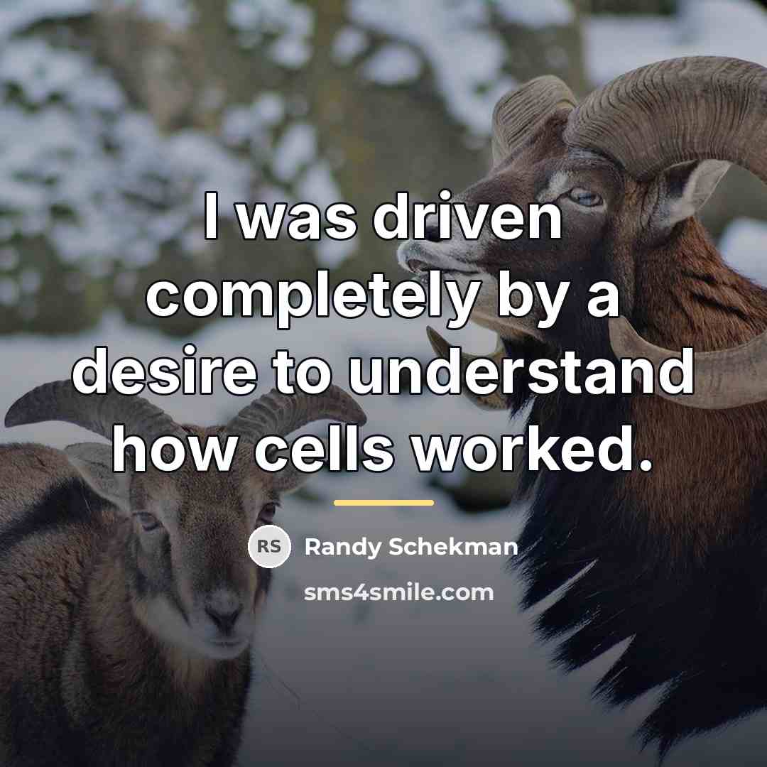 “I was driven completely by a desire to understand how…” quote by Randy Schekman