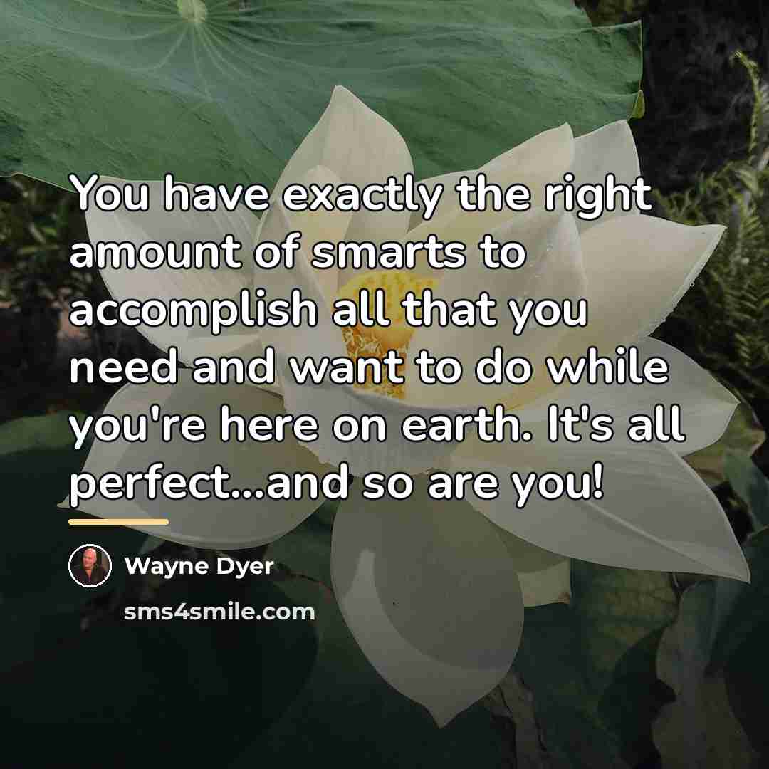 “You have exactly the right amount of smarts to accomplish…” quote by Wayne Dyer
