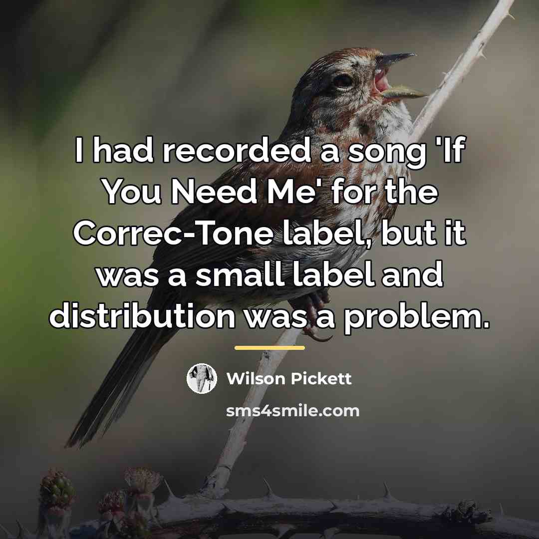“I had recorded a song 'If You Need Me' for…” quote by Wilson Pickett