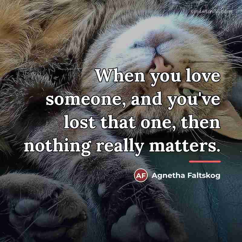 “When you love someone, and you've lost that one, then…” quote by Agnetha Faltskog