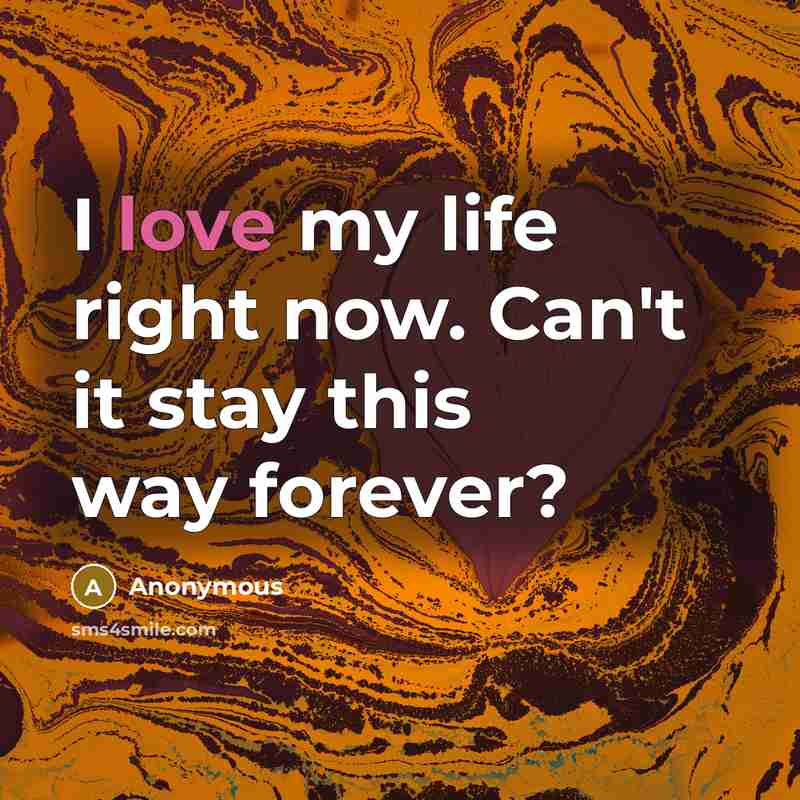 “I love my life right now. Can't it stay this…” quote by Anonymous