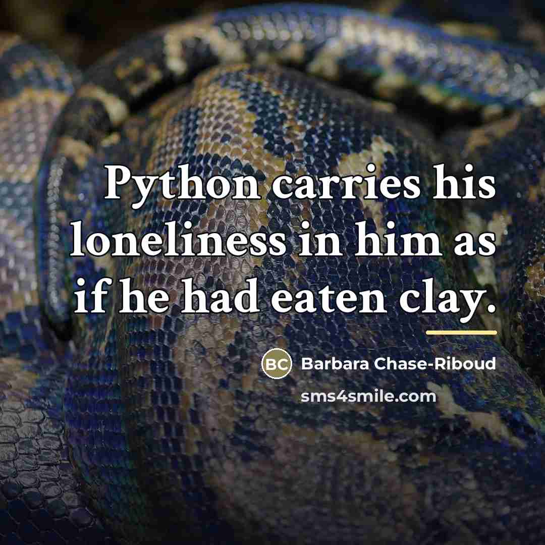 “Python carries his loneliness in him as if he had…” quote by Barbara Chase-Riboud