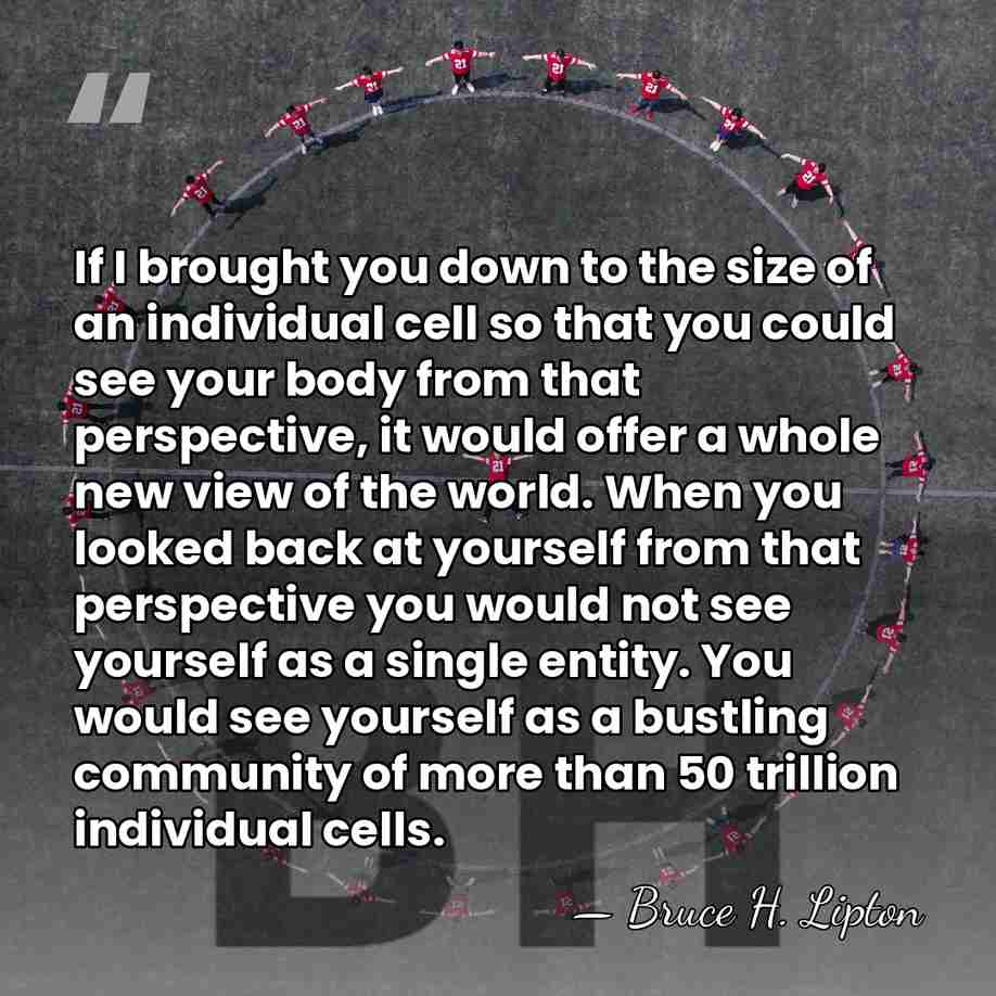 If I brought you down to the size of an individual cell&hellip; - Bruce H. Lipton