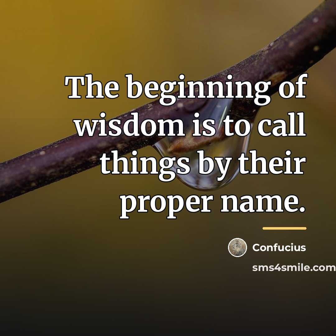 “The beginning of wisdom is to call things by their…” quote by Confucius