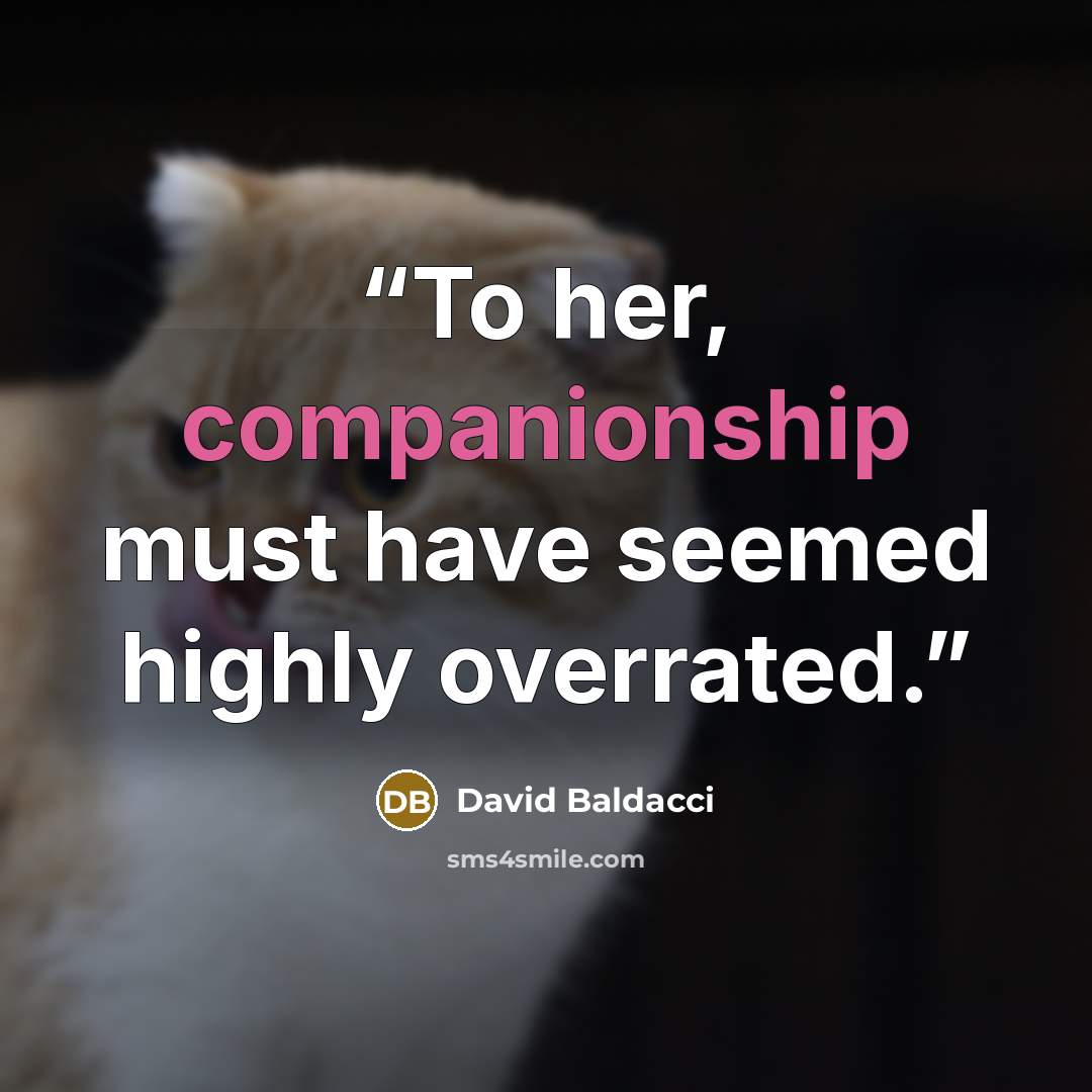 “To her, companionship must have seemed highly overrated.” quote by David Baldacci