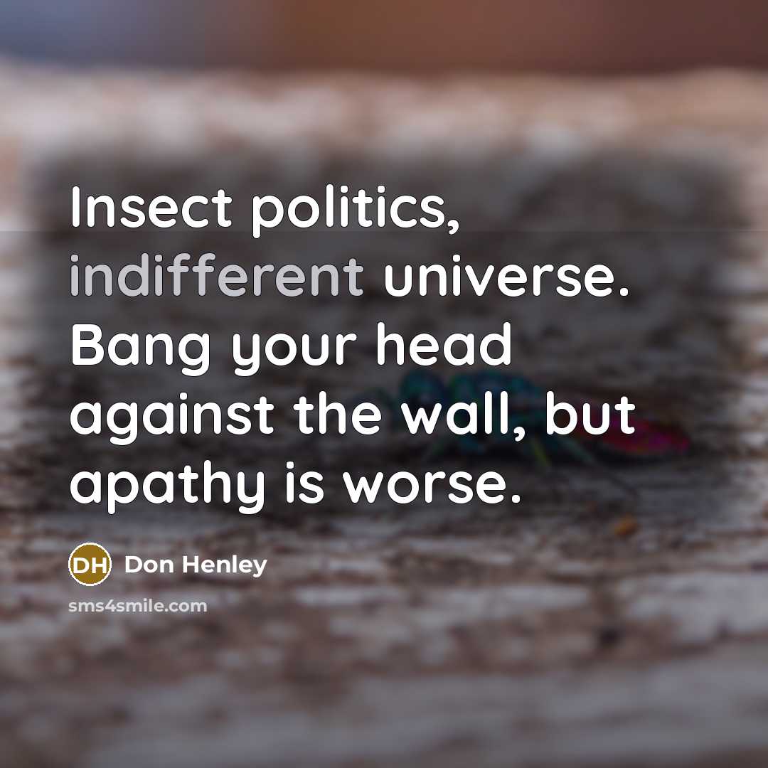 “Insect politics, indifferent universe. Bang your head against the wall,…” quote by Don Henley