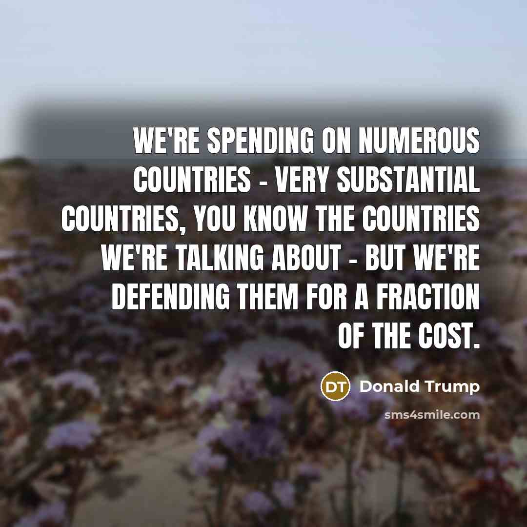 “We're spending on numerous countries - very substantial countries, you…” quote by Donald Trump