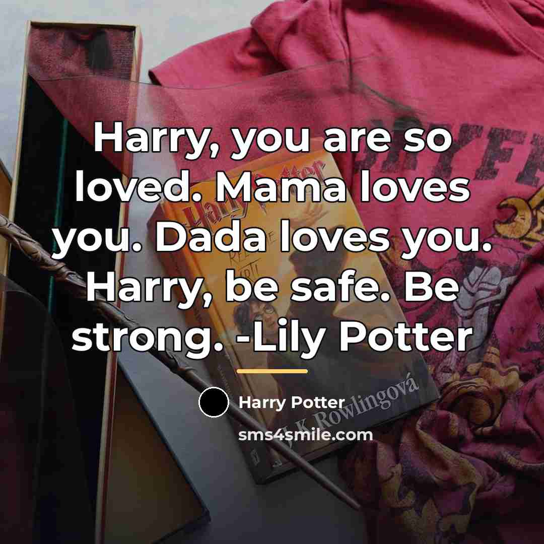 “Harry, you are so loved. Mama loves you. Dada loves…” quote by Harry Potter