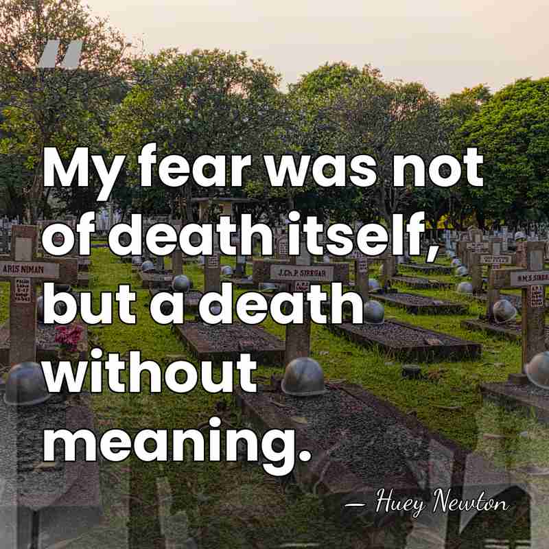 My fear was not of death itself, but a death without meaning. - Huey Newton