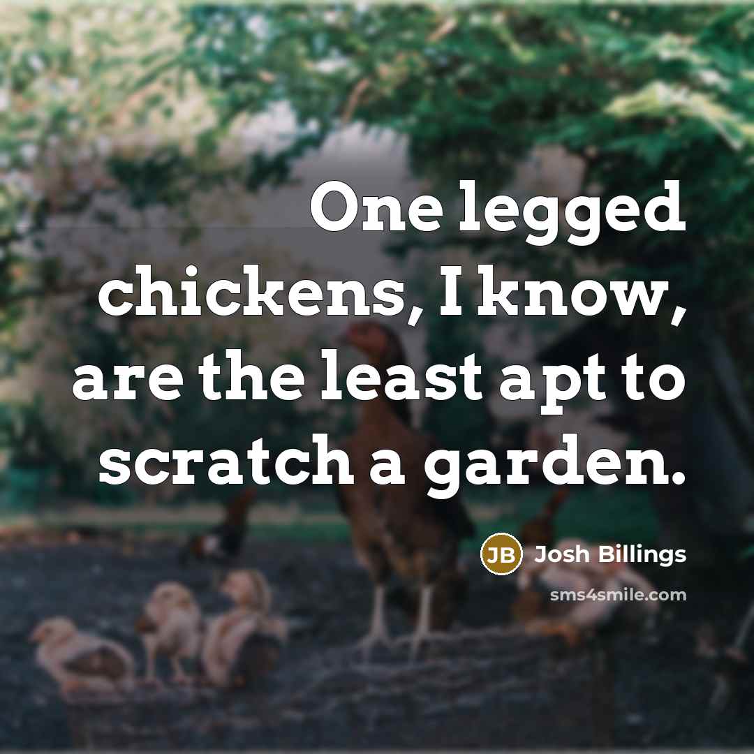“One legged chickens, I know, are the least apt to…” quote by Josh Billings