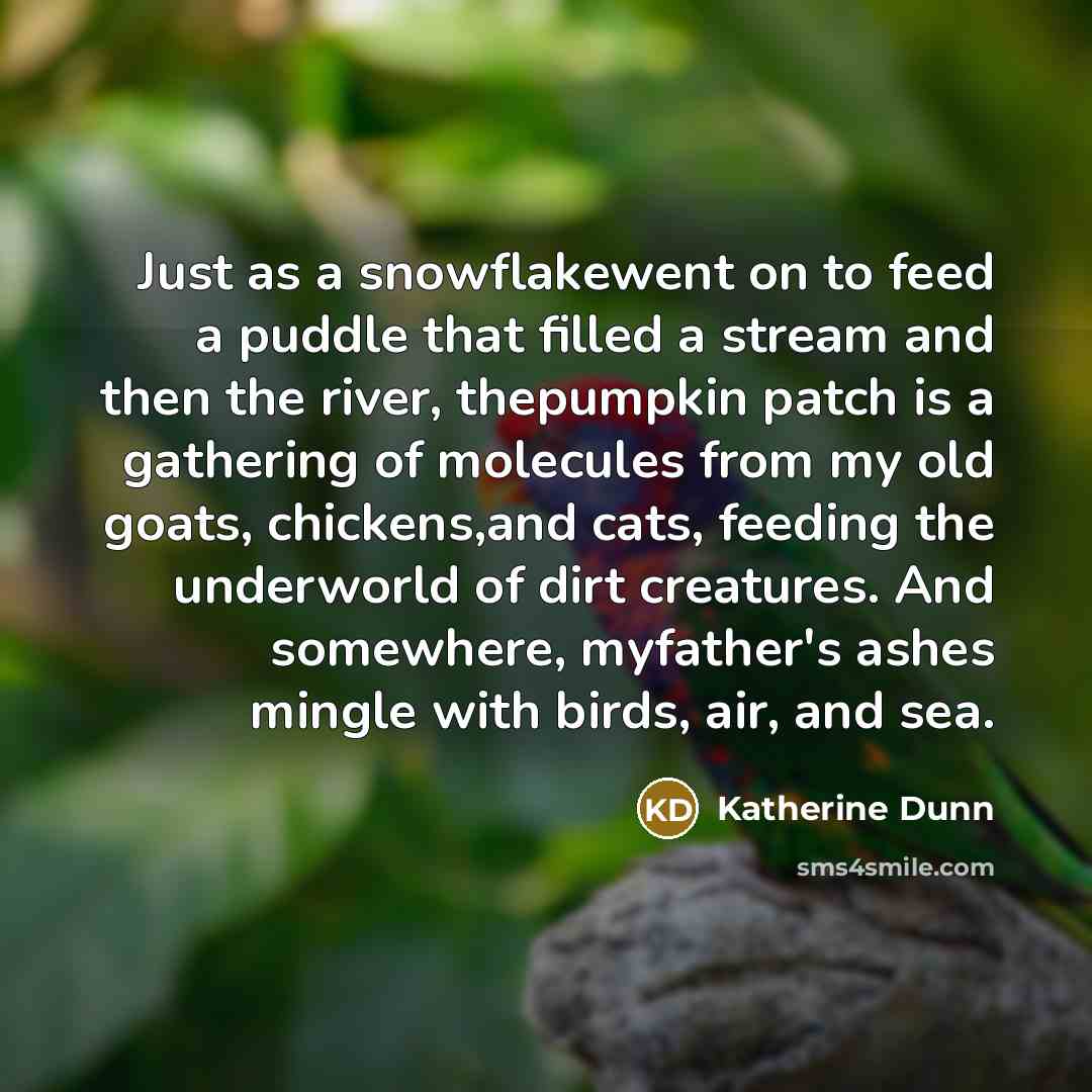 “Just as a snowflakewent on to feed a puddle that…” quote by Katherine Dunn