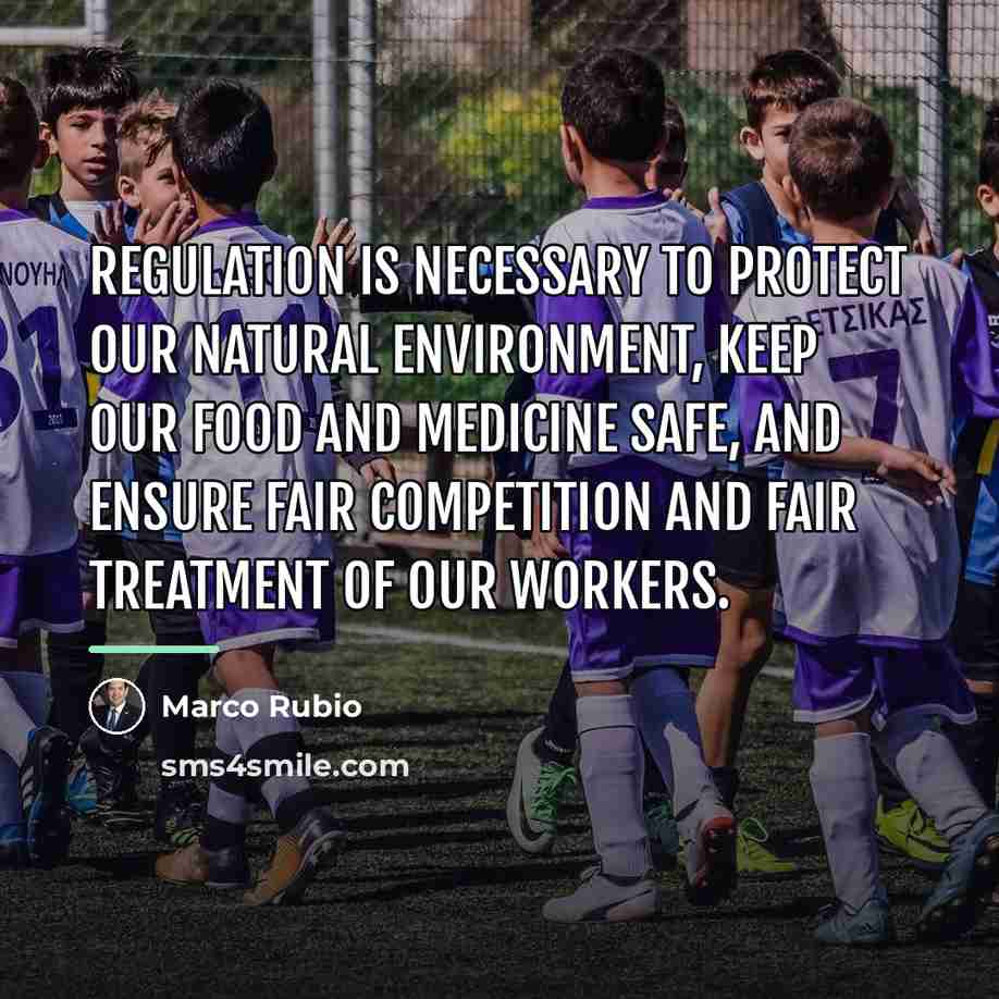 “Regulation is necessary to protect our natural environment, keep our…” quote by Marco Rubio