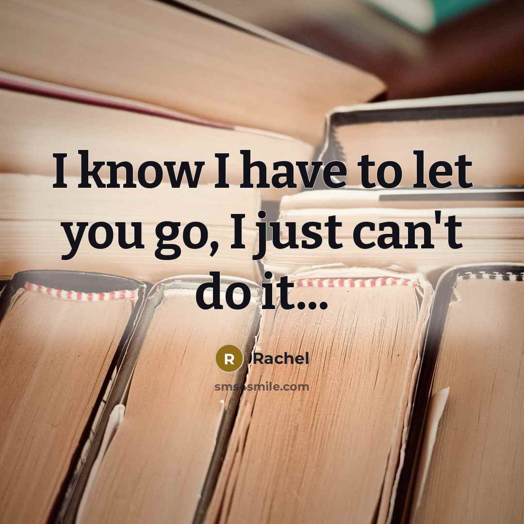 “I know I have to let you go, I just…” quote by Rachel