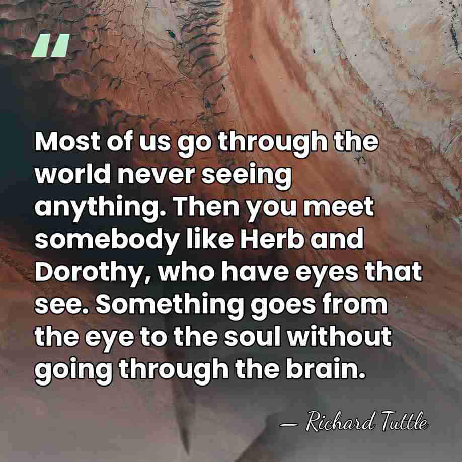Most of us go through the world never seeing anything. Then you&hellip; - Richard Tuttle