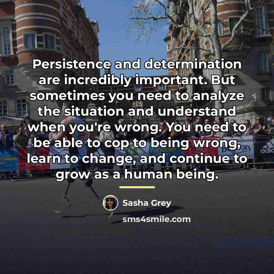 “Persistence and determination are incredibly important. But sometimes you need…” quote by Sasha Grey
