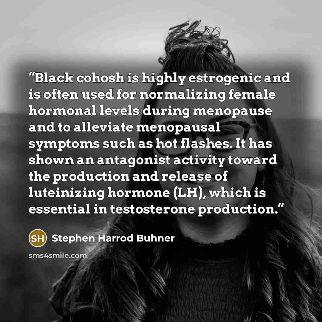 “Black cohosh is highly estrogenic and is often used for normalizing female hormonal levels during menopause and to alleviate menopausal symptoms such as hot flashes. It has shown an antagonist activity toward the production and release of luteinizing hormone (LH), which is essential in…” quote by Stephen Harrod Buhner