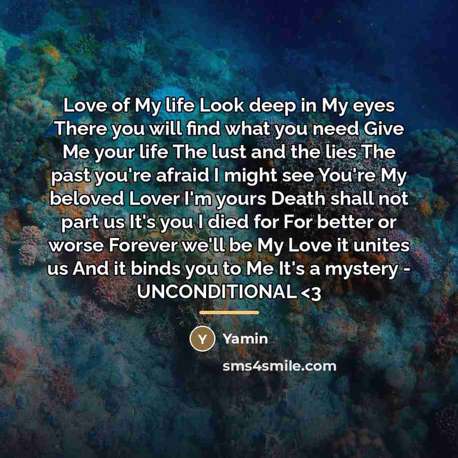 “Love of My life Look deep in My eyes There…” quote by Yamin