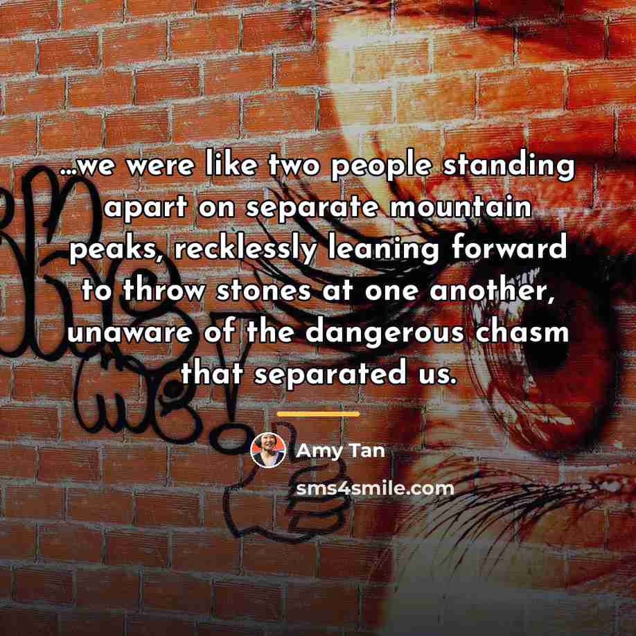 “...we were like two people standing apart on separate mountain…” quote by Amy Tan
