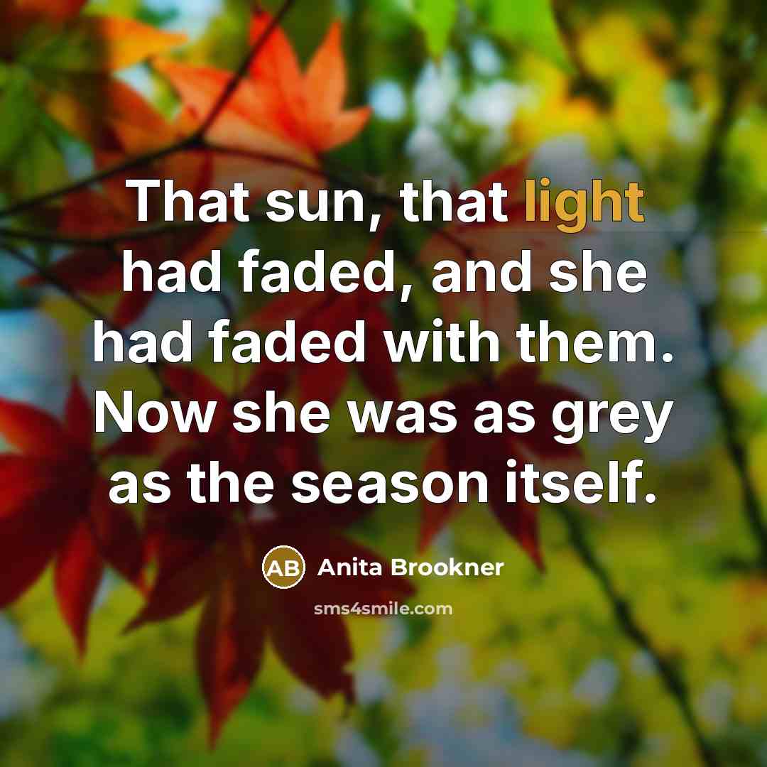 “That sun, that light had faded, and she had faded…” quote by Anita Brookner